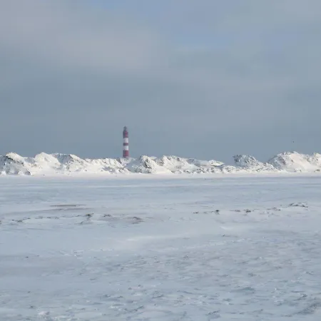 Schaar Nebel