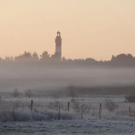 Schaar Nebel